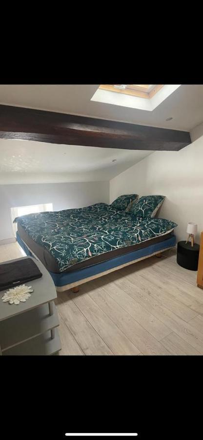 Saint-Chamond Lejlighedshotel Eksteriør billede